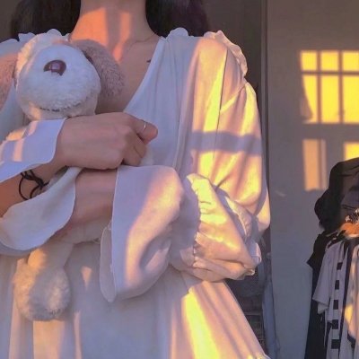 威尼斯王子