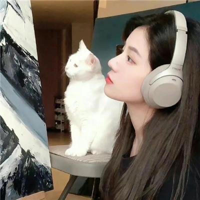 干支魂：猫客万来